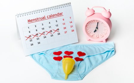 Menopoz Nedir