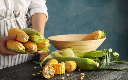 Mısırın Faydaları Nelerdir?