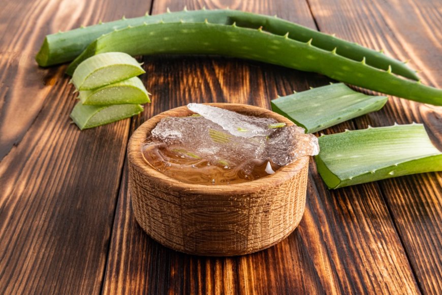 Aloe Vera Nedir?