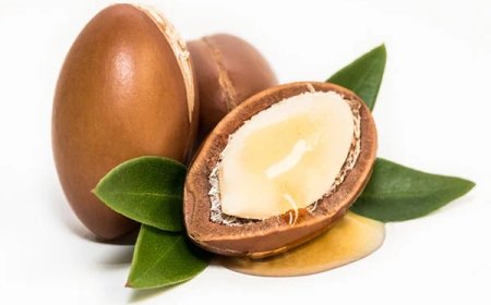 Argan Yağı Nedir? Faydaları ve Kullanımı