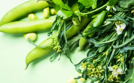 Taze Fasulye: Faydaları ve Besin Değerleri