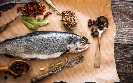 Omega 3 Nedir ve Ne İşe Yarar? Kimler Kullanmalı?