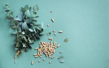 Fitoterapi ve Natürel İmmünoterapi: Doğal Yöntemlerle Sağlığınızı Güçlendirin