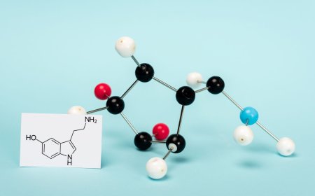 Dr. Mustafa Küçük Ali Kimdir?