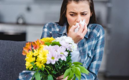 Bahar Alerjisine Ne İyi Gelir? Mevsimsel Alerjiye İyi Gelen Bitkiler