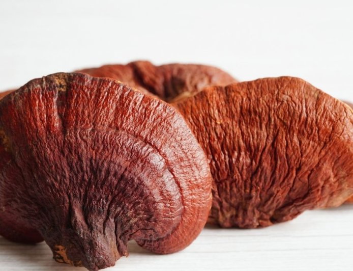 Reishi Mantarı Faydaları Nelerdir? Nasıl Tüketilmelidir?